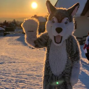 whatsapp_image_2022-02-15_at_16.58.43_large (1)