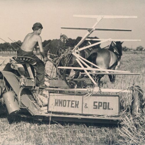 30_1920-45_knotek-sken-archiv 30_1920-45_knotek-sken-archiv